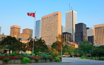 La empresa le pide a los mexicanos seleccionados trabajar en Canadá / Freepik.