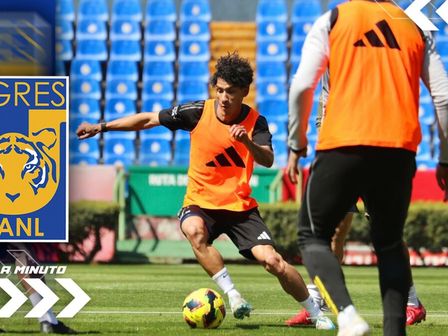 Entérate de las últimas noticias de Tigres HOY 24 de febrero. / Especial