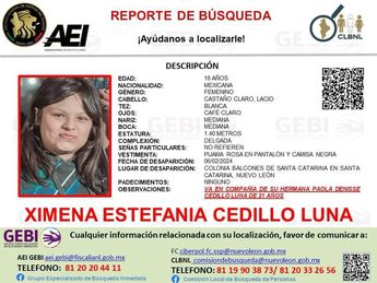 Ficha de desaparición. | Cortesía