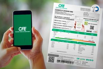 Cómo consultar mi recibo de la luz CFE en internet./ Oscar Avila