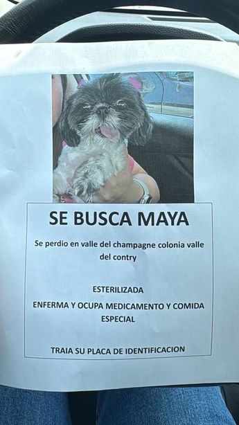 Cartel de la perrita Maya, desaparecida en la colonia Valle del Contry. | Cortesía