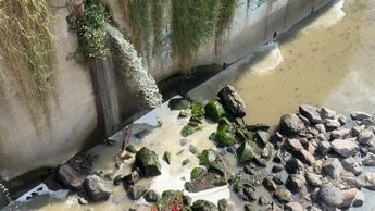 Hombre sin vida en represa de la CFE en Periférico Norte de Guadalajara.