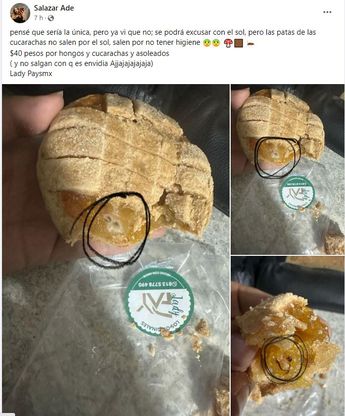 Una joven publicó fotografías de los pays con supuestos hongos. | Especial