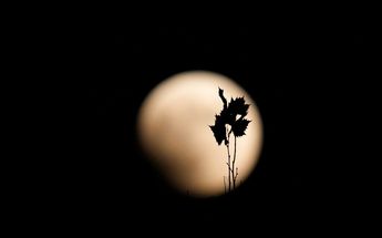 Eclipse de Luna en Corea del Sur / AP