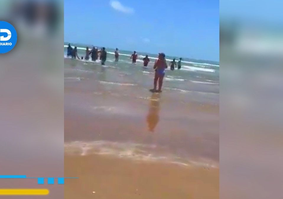 Ataque de tiburón en Isla del Padre | Especial