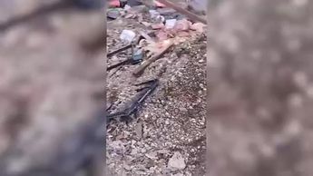 Localizan fosa clandestina en Zapopan; colectivo denuncia falta de apoyo