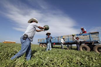 Los empresarios apuntan a que Trump puede deportar al mismo número de migrantes que gobiernos anteriores / Especial.