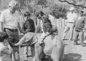 El Zoológico de Chapultepec se divide en seis biomas artificiales/ Fototeca Milenio