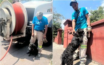 El perrito fue encontrado amarrado en un árbol /César García