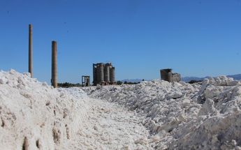 Ruinas de la Fábrica de Sal.