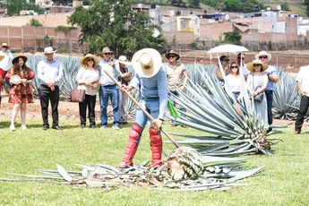 Maestro jimador en tour por tierras agaveras en Jalisco. | Secretaría de Turismo de Jalisco