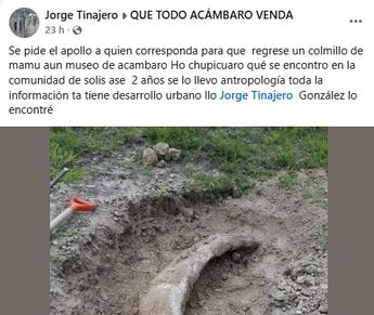 Jorge Tinajero pide apoyo para regresar el colmillo de mamut a Acámbaro. Foto: Captura.