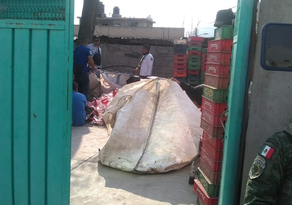 Cierran fábrica de Coca-Cola falsa en Edomex/ Lauro Galicia