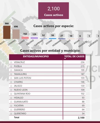 Casos activos de gusano barrenador en México.| Especial