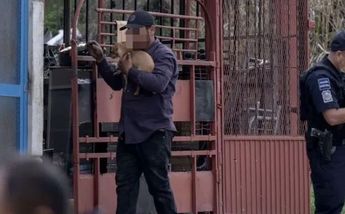 Perrito Tijuana