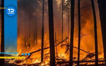 El cambio climático también genera condiciones extremas en el continente europeo / Pixabay