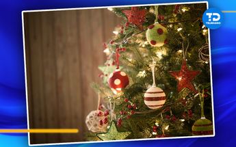 Árbol de Navidad | Archivo