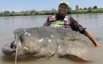 El pescador italiano regresó a salvo al siluro después de medirlo / RT