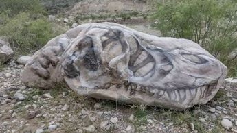 Honer recrea la fantasía de ver dinosaurios en Coahuila al transformar dos rocas masivas en un cráneo de T-Rex que emerge del sendero