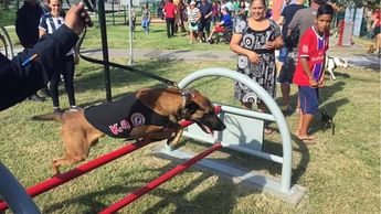 Parque Rufino Tamayo cuenta con fines de semana de adistramiento canino.| Especial