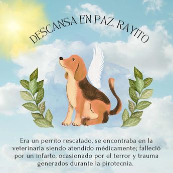 Aunque la pirotecnia en Nuevo León estaba prohibida, algunos vecinos sí encendieron fuegos artificiales.