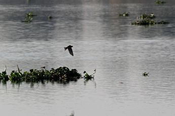 Presa de Valsequillo | Melanie Torres
