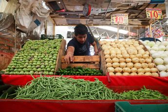 Precios de frutas y durante 2024 en un mercado de México / Agencia Cuartoscuro