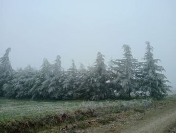 Los caminos de la Sierra Norte de Puebla lucen cubiertos de Nieve / Especial