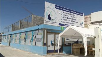 La primera etapa contempla instalaciones para 120 perros, con espacios destinados al descanso y la convivencia.