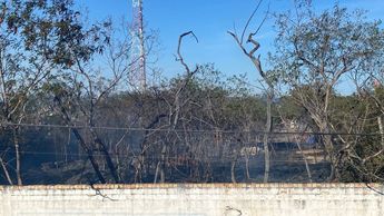 Consecuencias de incendio en terreno de NL. / Especial