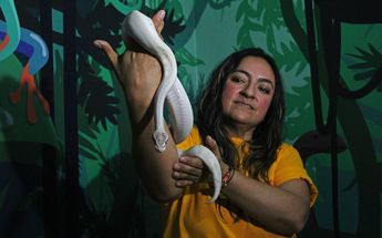 En el Museo Viviente hay diferentes tipos de serpientes | Melanie Torres