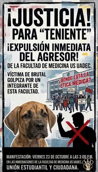 La movilización ciudadana busca que las autoridades esclarezcan los hechos y apliquen las sanciones. | Redes sociales