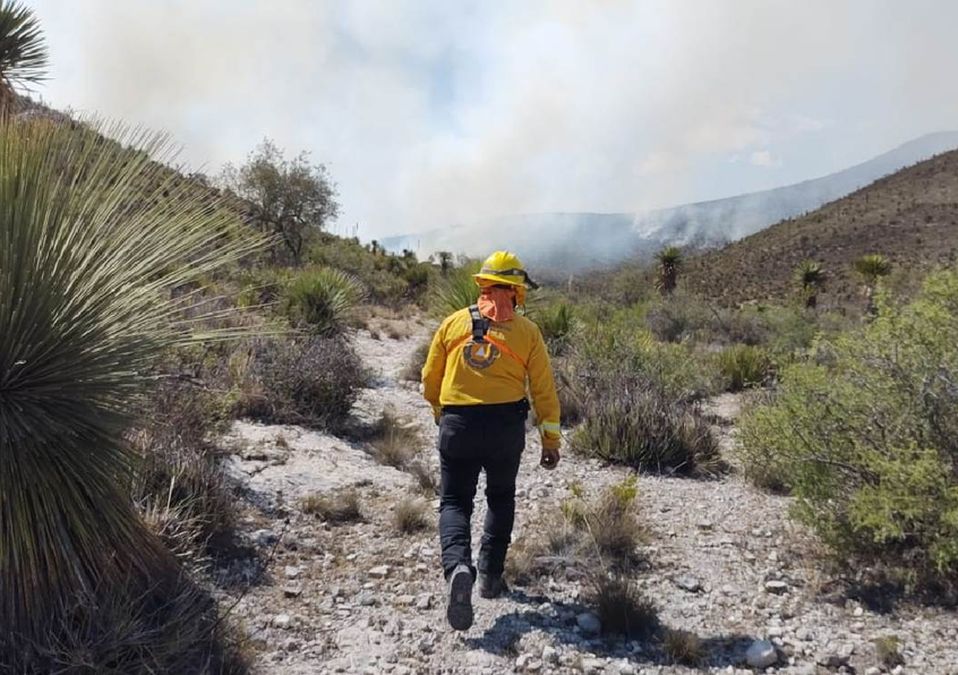 Continúan labores para sofocar incendio forestal en Doctor Arroyo. | Especial