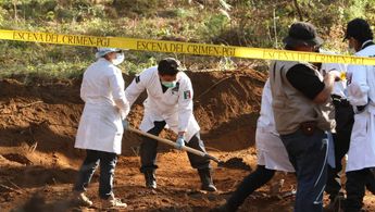 Los restos han sido analizados por el IJCF. | FB: Milenio