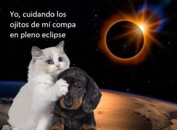 Memes del eclipse 2023 / Especial