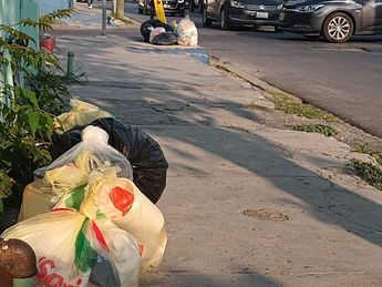 En el cruce de las calles Independencia y Josefa Ortiz de Domínguez, se espera que el camión de recolección de basura pase en el transcurso del día.