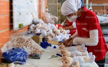 Peluches del Doctor Simi se hacen en Puebla / Andrés Lobato.