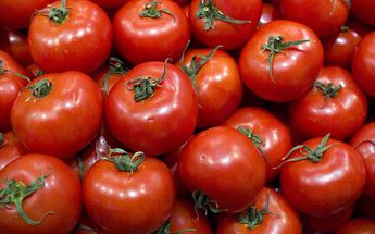 Productores mexicanos de jitomate viajan a EU a defender exportaciones