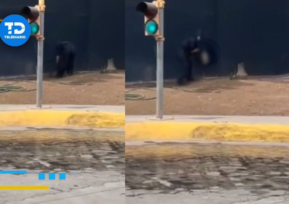 La Procuraduría Estatal de Medio Ambiente de Nuevo León clausuró el car wash. | Especial
