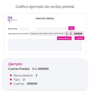 la información para consultar el predial se encuuntra en los recibos anteriores. | Cortesía