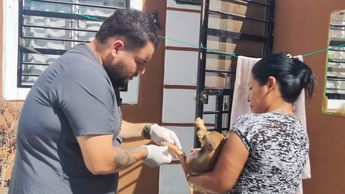 Muere niña en Escobedo tras presunta mordida de garrapata | Especial