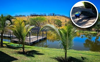 En los inmuebles hallaron estructuras con acabados de lujo, piscinas, lagos artificiales y canchas de tenis | Abadiel Martínez
