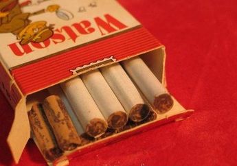 Cigarros de chocolate