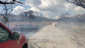 El incendio en el bosque de la Primavera ya ha sido controlado. | Foto: Protección Civil y Bomberos de Jalisco.