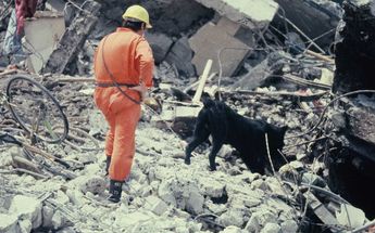 El terremoto del 19 de septiembre de 1985 cobró la vida de 6 mil personas | Fototeca Milenio