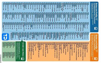 Dentro de las rutas agregadas destacan las rutas Troncales (T) y las Complementarias (C), además de diversas variantes | NotebookLM