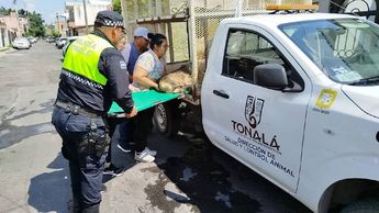 Hombre presuntamente intentaba cortarle la cola a un perro | Luis Pedraza