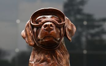 Estatua de la perrita Frida /Araceli López