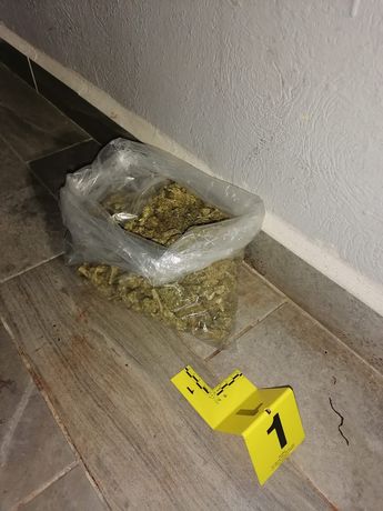 Mariguana encontrada en posesión de los hombres arrestados. | Cortesía