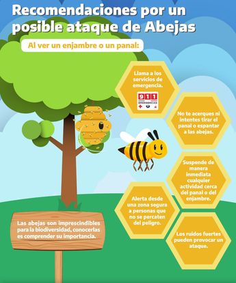 Recomendaciones para los ataques de abejas.